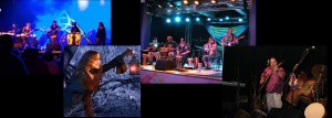 Rock, Rhythm & Soul: Sooj, Brian "Boo" Greenway, Raw Earth & Tuatha Dea @ The Focal Point | Maplewood | Missouri | United States